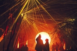 Light Cycles : la nature s’illumine à La Villette