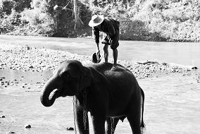 La Thaïlande, une destination de rêve !