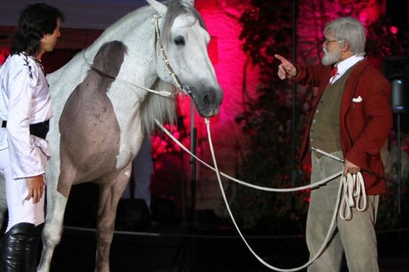 Un spectacle équestre dans le pays d’Uzès ça vous tente? Piéric et Casting.fr vous offre des places!