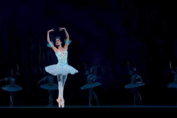 Vous pouvez devenir danseur professionnel et en faire votre profession. Comment ? Voici de quoi définir votre projet et surtout vous indiquer les multiples chemins artistiques possible pour démarrer. 