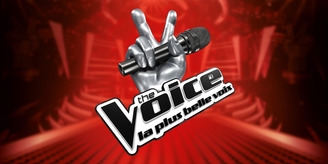 The Voice en casting actuellement, une audience jamais égalée pour la 8ème édition de The Voice Kids ! Comment rejoindre l’aventure ?