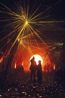 Light Cycles : la nature s’illumine à La Villette