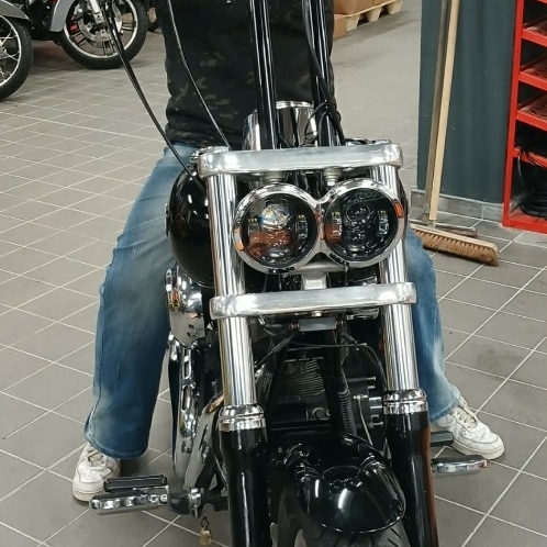 cerdan