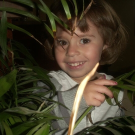 milla2512
