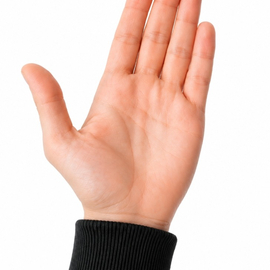 Pan18