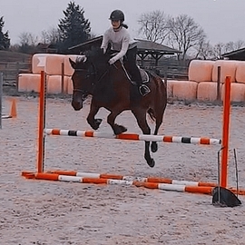 anna_12