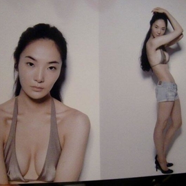Chihiroparis