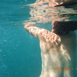 Lalba
