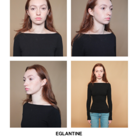 Eglantinevassaux