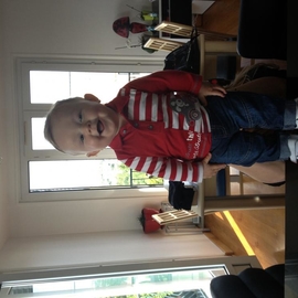 tomloulou