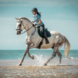 Duaner