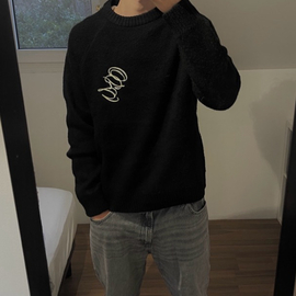 Lucas_dlp29