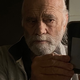 Albert3