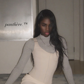 pantherenoir73