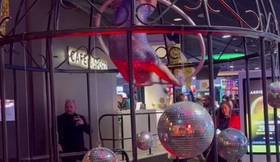 Cerceau aérien cage