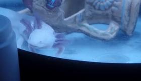 Bande-Démo Baptiste Philippe 2025