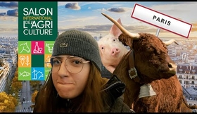 Des vaches, du fromages et une bonne odeur de France