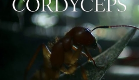 CORDYCEPS - Court-Métrage