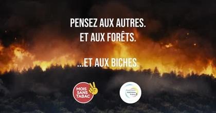 Mois sans Tabac 2025