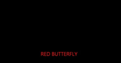 RED BUTTERFLY - You will adore me